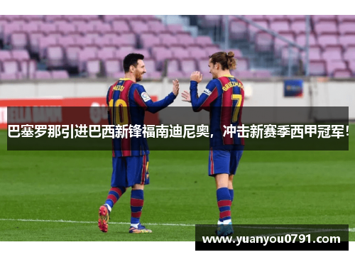 巴塞罗那引进巴西新锋福南迪尼奥，冲击新赛季西甲冠军！