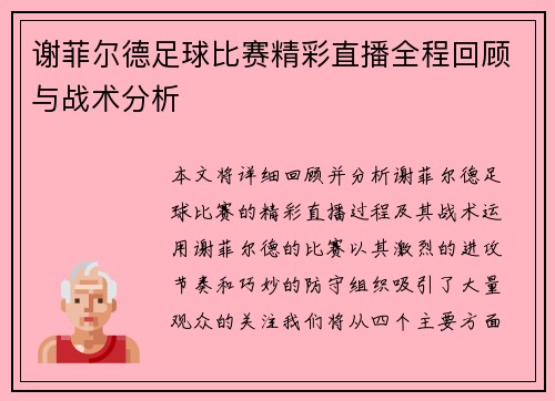 谢菲尔德足球比赛精彩直播全程回顾与战术分析